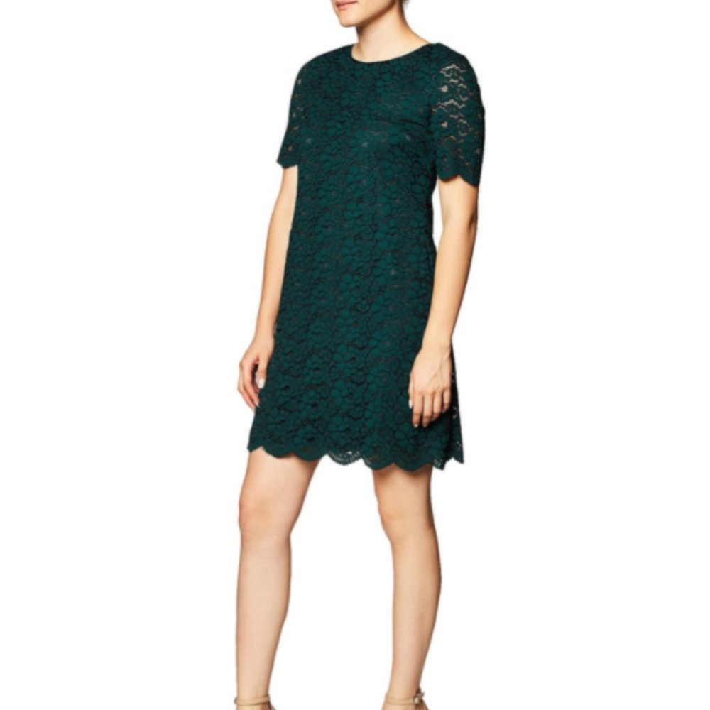 NWOT Lark & Ro Green Lace Shift Dress Size S